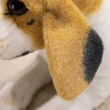 Load image into Gallery viewer, Cuddly Tri-Color Beagle Stuffed Animal Plush Toy-15
