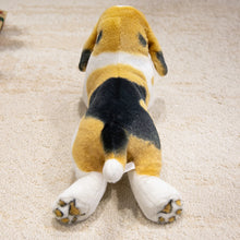 Load image into Gallery viewer, Cuddly Tri-Color Beagle Stuffed Animal Plush Toy-2