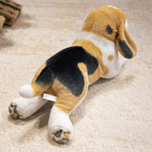 Load image into Gallery viewer, Cuddly Tri-Color Beagle Stuffed Animal Plush Toy-3