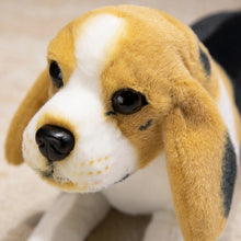 Load image into Gallery viewer, Cuddly Tri-Color Beagle Stuffed Animal Plush Toy-5
