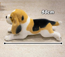 Load image into Gallery viewer, Cuddly Tri-Color Beagle Stuffed Animal Plush Toy-7