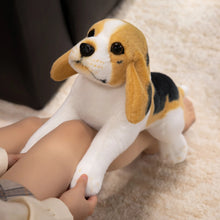Load image into Gallery viewer, Cuddly Tri-Color Beagle Stuffed Animal Plush Toy-9