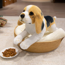 Load image into Gallery viewer, Cuddly Tri-Color Beagle Stuffed Animal Plush Toy-1