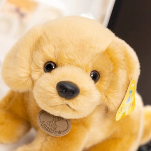 Curious Baby Golden Retriever Stuffed Animal Plush Toys-Stuffed Animals-Golden Retriever, Stuffed Animal-2