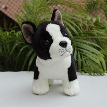 Load image into Gallery viewer, Curious Boston Terrier Stuffed Animal Plush Toy-Stuffed Animals-Boston Terrier, Home Decor, Stuffed Animal-2