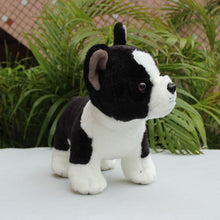 Load image into Gallery viewer, Curious Boston Terrier Stuffed Animal Plush Toy-Stuffed Animals-Boston Terrier, Home Decor, Stuffed Animal-3