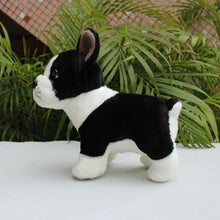 Load image into Gallery viewer, Curious Boston Terrier Stuffed Animal Plush Toy-Stuffed Animals-Boston Terrier, Home Decor, Stuffed Animal-8