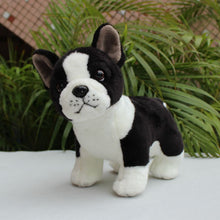 Load image into Gallery viewer, Curious Boston Terrier Stuffed Animal Plush Toy-Stuffed Animals-Boston Terrier, Home Decor, Stuffed Animal-1