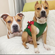 Load image into Gallery viewer, Custom American Bully Pillow - Create Your Furry Friend's Plush Likeness-Stuffed Animals-American Bully,Dog Dad Gifts,Dog Memorial Gifts,Dog Mom Gifts,Pillows,Stuffed Animal,Upload Photo-1