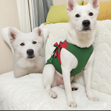 Load image into Gallery viewer, Custom American Eskimo Dog Pillow - Create Your Furry Friend's Plush Likeness-Stuffed Animals-American Eskimo Dog,Dog Dad Gifts,Dog Memorial Gifts,Dog Mom Gifts,Pillows,Stuffed Animal,Upload Photo-1