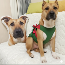 Load image into Gallery viewer, Custom Anatolian Shepherd Pillow - Create Your Furry Friend's Plush Likeness-Stuffed Animals-Anatolian Shepherd,Dog Dad Gifts,Dog Memorial Gifts,Dog Mom Gifts,Pillows,Stuffed Animal,Upload Photo-1