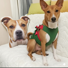 Load image into Gallery viewer, Custom Basenji Pillow - Create Your Furry Friend's Plush Likeness-Stuffed Animals-Basenji,Dog Dad Gifts,Dog Memorial Gifts,Dog Mom Gifts,Pillows,Stuffed Animal,Upload Photo-1