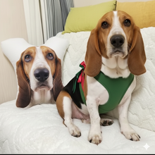 Load image into Gallery viewer, Custom Basset Hound Pillow - Create Your Furry Friend's Plush Likeness-Stuffed Animals-Basset Hound,Dog Dad Gifts,Dog Memorial Gifts,Dog Mom Gifts,Pillows,Stuffed Animal,Upload Photo-1