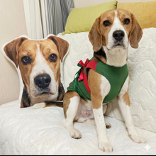 Load image into Gallery viewer, Custom Beagle Pillow - Create Your Furry Friend's Plush Likeness-Stuffed Animals-Beagle,Dog Dad Gifts,Dog Memorial Gifts,Dog Mom Gifts,Pillows,Stuffed Animal,Upload Photo-1