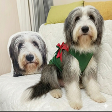 Load image into Gallery viewer, Custom Bearded Collie Pillow - Create Your Furry Friend's Plush Likeness-Stuffed Animals-Bearded Collie,Dog Dad Gifts,Dog Memorial Gifts,Dog Mom Gifts,Pillows,Stuffed Animal,Upload Photo-1