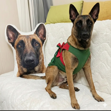 Load image into Gallery viewer, Custom Belgian Malinois Pillow - Create Your Furry Friend's Plush Likeness-Stuffed Animals-Belgian Malinois,Dog Dad Gifts,Dog Memorial Gifts,Dog Mom Gifts,Pillows,Stuffed Animal,Upload Photo-1