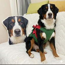 Load image into Gallery viewer, Custom Bernese Mountain Dog Pillow - Create Your Furry Friend's Plush Likeness-Stuffed Animals-Bernese Mountain Dog,Dog Dad Gifts,Dog Memorial Gifts,Dog Mom Gifts,Pillows,Stuffed Animal,Upload Photo-1