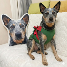 Load image into Gallery viewer, Custom Blue Heeler Pillow - Create Your Furry Friend's Plush Likeness-Stuffed Animals-Blue Heeler,Dog Dad Gifts,Dog Memorial Gifts,Dog Mom Gifts,Pillows,Stuffed Animal,Upload Photo-1