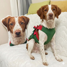 Load image into Gallery viewer, Custom Brittany Spaniel Pillow - Create Your Furry Friend's Plush Likeness-Stuffed Animals-Brittany Spaniel,Dog Dad Gifts,Dog Memorial Gifts,Dog Mom Gifts,Pillows,Stuffed Animal,Upload Photo-1