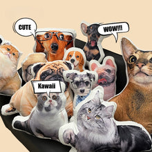 Load image into Gallery viewer, Custom Catahoula Pillow - Create Your Furry Friend's Plush Likeness-Stuffed Animals-Catahoula,Dog Dad Gifts,Dog Memorial Gifts,Dog Mom Gifts,Pillows,Stuffed Animal,Upload Photo-3