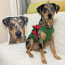 Load image into Gallery viewer, Custom Catahoula Pillow - Create Your Furry Friend's Plush Likeness-Stuffed Animals-Catahoula,Dog Dad Gifts,Dog Memorial Gifts,Dog Mom Gifts,Pillows,Stuffed Animal,Upload Photo-1