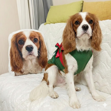 Load image into Gallery viewer, Custom Cavalier King Pillow - Create Your Furry Friend's Plush Likeness-Stuffed Animals-Cavalier King Charles Spaniel,Dog Dad Gifts,Dog Memorial Gifts,Dog Mom Gifts,Pillows,Stuffed Animal,Upload Photo-1