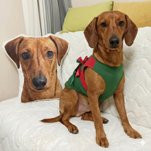 Load image into Gallery viewer, Custom Dachshund Pillow - Create Your Furry Friend's Plush Likeness-Stuffed Animals-Dog Dad Gifts,Dog Memorial Gifts,Dog Mom Gifts,Pillows,Stuffed Animal,Upload Photo-1