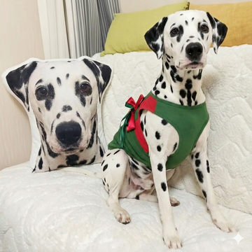 Custom Dalmatian Pillow Create Your Furry Friends Plush Likeness 360x