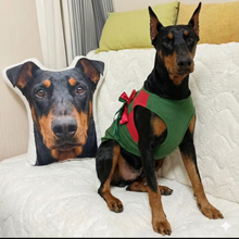 Load image into Gallery viewer, Custom Doberman Pillow - Create Your Furry Friend's Plush Likeness-Stuffed Animals-Doberman,Dog Dad Gifts,Dog Memorial Gifts,Dog Mom Gifts,Pillows,Stuffed Animal,Upload Photo-1