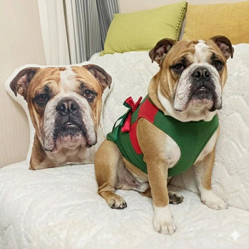 Custom English Bulldog Pillow Create Your Furry Friends Plush Likeness 360x