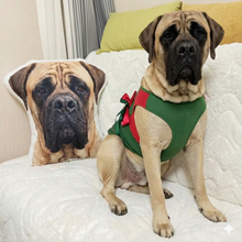 Load image into Gallery viewer, Custom English Mastiff Pillow - Create Your Furry Friend's Plush Likeness-Stuffed Animals-Dog Dad Gifts,Dog Memorial Gifts,Dog Mom Gifts,English Mastiff,Pillows,Stuffed Animal,Upload Photo-1