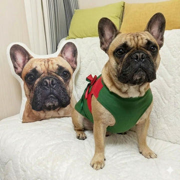 Custom French Bulldog Pillow Create Your Furry Friends Plush Likeness 360x