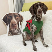 Load image into Gallery viewer, Custom German Pointer Pillow - Create Your Furry Friend's Plush Likeness-Stuffed Animals-Dog Dad Gifts,Dog Memorial Gifts,Dog Mom Gifts,German Pointer,Pillows,Stuffed Animal,Upload Photo-1