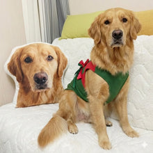 Load image into Gallery viewer, Custom Golden Retriever Pillow - Create Your Furry Friend's Plush Likeness-Stuffed Animals-Dog Dad Gifts,Dog Memorial Gifts,Dog Mom Gifts,Golden Retriever,Pillows,Stuffed Animal,Upload Photo-1
