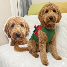 Load image into Gallery viewer, Custom Goldendoodle Pillow - Create Your Furry Friend's Plush Likeness-Stuffed Animals-Dog Dad Gifts,Dog Memorial Gifts,Dog Mom Gifts,Goldendoodle,Pillows,Stuffed Animal,Upload Photo-1