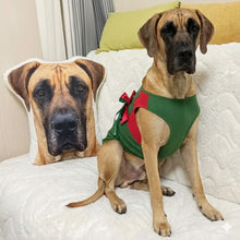 Load image into Gallery viewer, Custom Great Dane Pillow - Create Your Furry Friend's Plush Likeness-Stuffed Animals-Dog Dad Gifts,Dog Memorial Gifts,Dog Mom Gifts,Great Dane,Pillows,Stuffed Animal,Upload Photo-1