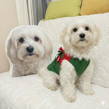 Load image into Gallery viewer, Custom Havanese Pillow - Create Your Furry Friend's Plush Likeness-Stuffed Animals-Dog Dad Gifts,Dog Memorial Gifts,Dog Mom Gifts,Havanese,Pillows,Stuffed Animal,Upload Photo-1