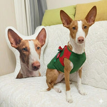 Load image into Gallery viewer, Custom Ibizian Hound Pillow - Create Your Furry Friend's Plush Likeness-Stuffed Animals-Dog Dad Gifts,Dog Memorial Gifts,Dog Mom Gifts,Pillows,Stuffed Animal,Upload Photo-1