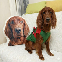 Load image into Gallery viewer, Custom Irish Setter Pillow - Create Your Furry Friend's Plush Likeness-Stuffed Animals-Dog Dad Gifts,Dog Memorial Gifts,Dog Mom Gifts,Irish Setter,Pillows,Stuffed Animal,Upload Photo-1