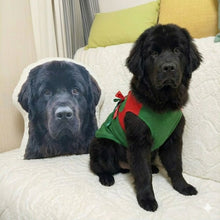 Load image into Gallery viewer, Custom Newfoundland Pillow - Create Your Furry Friend's Plush Likeness-Stuffed Animals-Dog Dad Gifts,Dog Memorial Gifts,Dog Mom Gifts,Newfoundland,Pillows,Stuffed Animal,Upload Photo-1