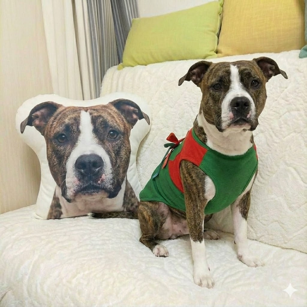 Custom Pit Bull Pillow Create Your Furry Friends Plush Likeness