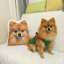 Load image into Gallery viewer, Custom Pomeranian Pillow - Create Your Furry Friend's Plush Likeness-Stuffed Animals-Dog Dad Gifts,Dog Memorial Gifts,Dog Mom Gifts,Pillows,Pomeranian,Stuffed Animal,Upload Photo-1