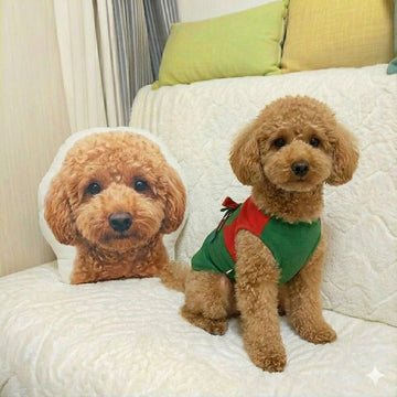 Custom Poodle Pillow Create Your Furry Friends Plush Likeness 360x