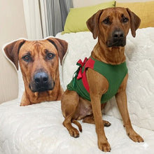 Load image into Gallery viewer, Custom Rhodesian Ridgeback Pillow - Create Your Furry Friend's Plush Likeness