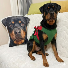 Load image into Gallery viewer, Custom Rottweiler Pillow - Create Your Furry Friend's Plush Likeness