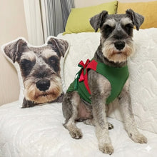 Load image into Gallery viewer, Custom Schnauzer Pillow - Create Your Furry Friend's Plush Likeness