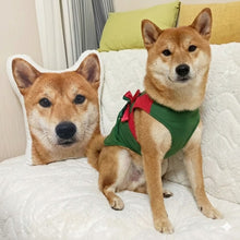 Load image into Gallery viewer, Custom Shiba Inu Pillow - Create Your Furry Friend's Plush Likeness-Stuffed Animals-Dog Dad Gifts,Dog Memorial Gifts,Dog Mom Gifts,Pillows,Shiba Inu,Stuffed Animal,Upload Photo-1