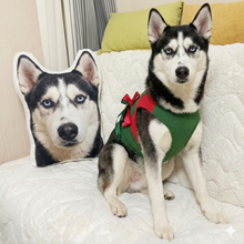 Load image into Gallery viewer, Custom Siberian Husky Pillow - Create Your Furry Friend's Plush Likeness-Stuffed Animals-Dog Dad Gifts,Dog Memorial Gifts,Dog Mom Gifts,Pillows,Siberian Husky,Stuffed Animal,Upload Photo-1