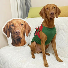 Load image into Gallery viewer, Custom Vizsla Pillow - Create Your Furry Friend's Plush Likeness-Stuffed Animals-Dog Dad Gifts,Dog Memorial Gifts,Dog Mom Gifts,Pillows,Stuffed Animal,Upload Photo,Vizsla-1