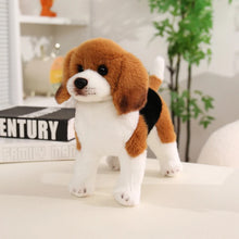 Load image into Gallery viewer, Cute Beagle Plush - Darling Floppy-Eared Pup-24